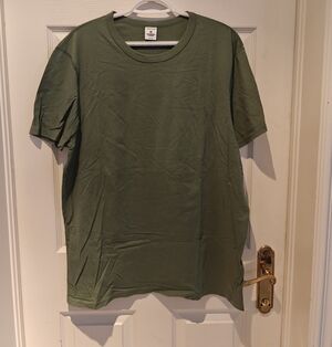 REIGNING CHAMP SAGE T-SHIRT LIKE NEW